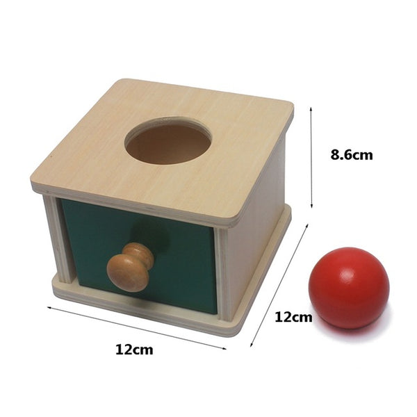 Coin and Ball Drop Box Wooden Montessori Toy (Sold as set or separately)