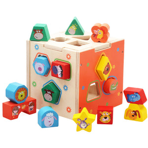 Intelligence Box Sorting Wooden Toy