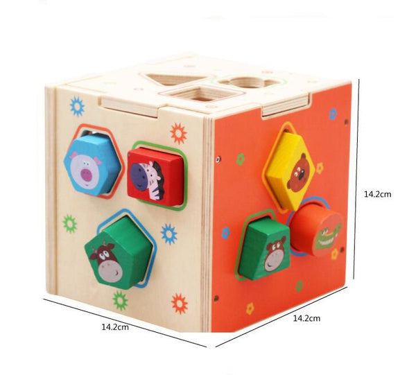 Intelligence Box Sorting Wooden Toy