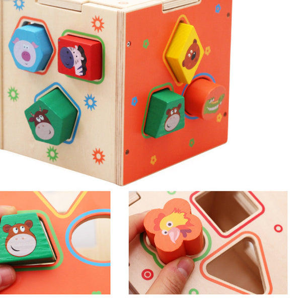 Intelligence Box Sorting Wooden Toy