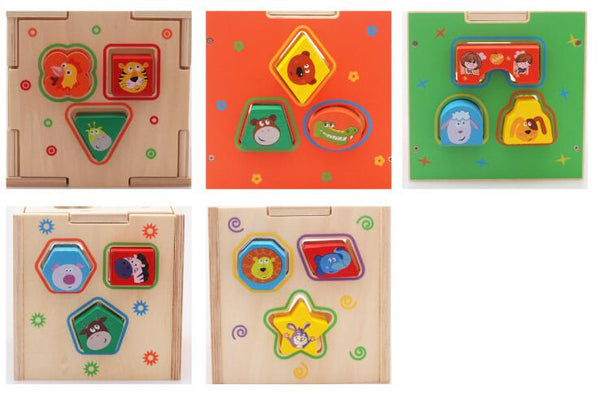 Intelligence Box Sorting Wooden Toy